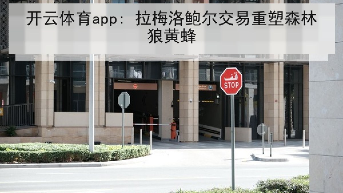 开云体育app: 拉梅洛鲍尔交易重塑森林狼黄蜂 开云体育app: 拉梅洛鲍尔交易重塑森林狼黄蜂